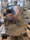 Bomba lobular de acero inoxidable 316 Alfa Laval