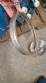 Bomba centr�fuga sanitaria Castinox con motor WEG de 2 CV.