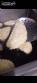 M�quina de Ravioli Indiana PRT120 30 kg/h