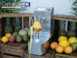 Peladora autom�tica para pi�a, mango y mel�n, 250 unidades por minuto Astra
