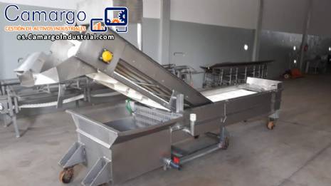 Glaseadora de pescado y marisco de acero inoxidable Brusinox 1500 kg/h