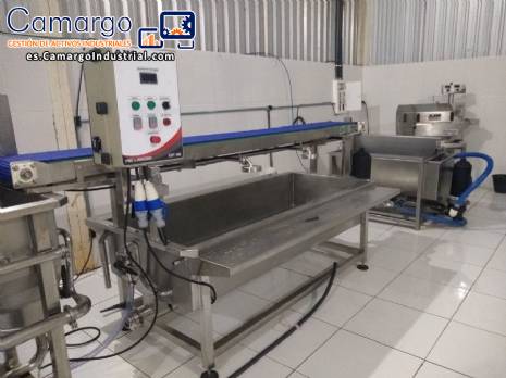 ​Prelavadora industrial para hortalizas de hoja