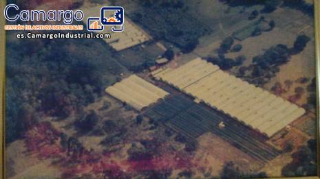 Empresa completa de hidropon�a