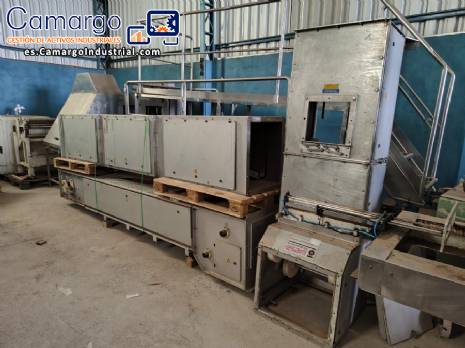 Transportador de cangilones en forma de Z de WIESE